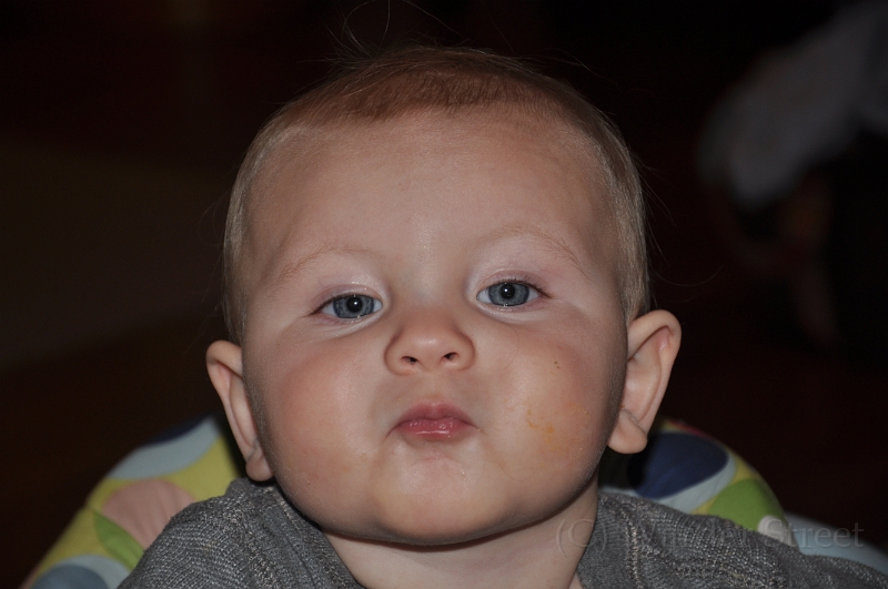 William's Fortieth Week 24.jpg